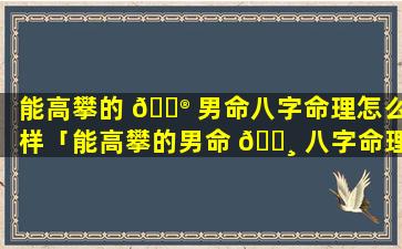 能高攀的 💮 男命八字命理怎么样「能高攀的男命 🕸 八字命理怎么样呢」